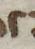 Letter - #52077