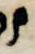 Letter - #5220