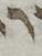 Letter - #52201
