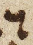 Letter - #52229