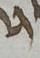 Letter - #52264