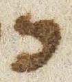 Letter - #52307