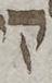 Letter - #52355
