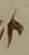 Letter - #52366