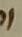 Letter - #52393