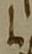 Letter - #52404