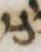Letter - #5277