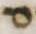 Letter - #5279