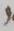 Letter - #52856