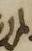Letter - #52910