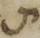 Letter - #52925