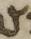 Letter - #52927
