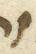 Letter - #52953