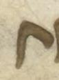 Letter - #52958