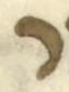 Letter - #52967