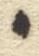 Letter - #52997