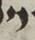 Letter - #53042