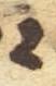 Letter - #53101