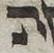 Letter - #53157