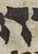 Letter - #53202