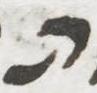 Letter - #53221