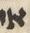 Letter - #53313