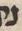 Letter - #53337