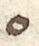 Letter - #53346