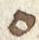 Letter - #53350