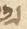 Letter - #53417