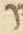 Letter - #53421