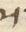 Letter - #53471