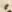 Letter - #53492