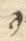 Letter - #53496