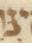 Letter - #53543