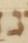 Letter - #53554