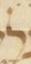 Letter - #53555