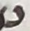 Letter - #53611