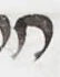 Letter - #53832