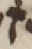 Letter - #53892