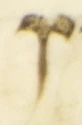 Letter - #53976
