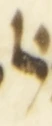 Letter - #53986