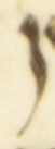 Letter - #53992