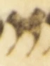 Letter - #53993