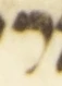 Letter - #53994