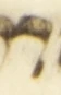 Letter - #54003