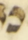 Letter - #54004