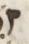 Letter - #54032
