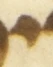 Letter - #54066