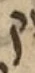 Letter - #54146